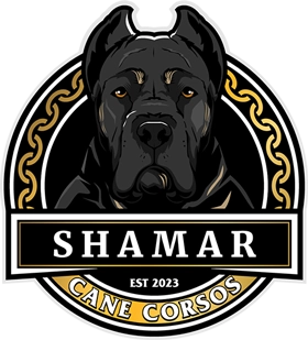 Logo Canil Shamar Cane Corso